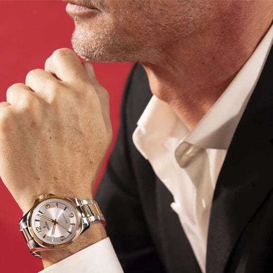 Festina Solar Energie
